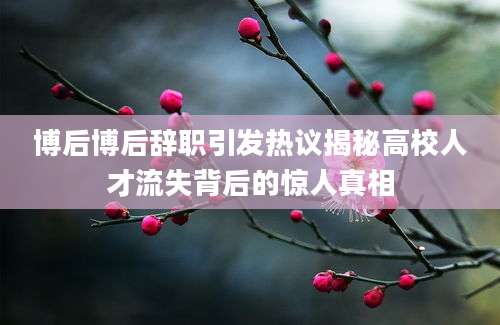 博后博后辞职引发热议揭秘高校人才流失背后的惊人真相