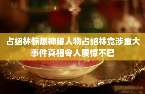 占绍林惊爆神秘人物占绍林竟涉重大事件真相令人震惊不已