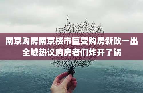南京购房南京楼市巨变购房新政一出全城热议购房者们炸开了锅