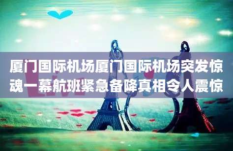 厦门国际机场厦门国际机场突发惊魂一幕航班紧急备降真相令人震惊