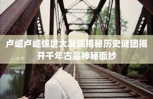卢崛卢崛惊世大发现揭秘历史谜团揭开千年古墓神秘面纱