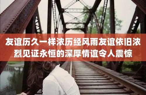 友谊历久一样浓历经风雨友谊依旧浓烈见证永恒的深厚情谊令人震惊