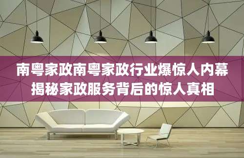 南粤家政南粤家政行业爆惊人内幕揭秘家政服务背后的惊人真相
