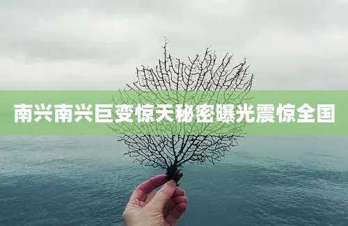 南兴南兴巨变惊天秘密曝光震惊全国