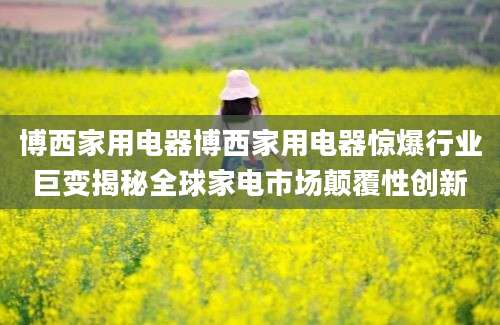 博西家用电器博西家用电器惊爆行业巨变揭秘全球家电市场颠覆性创新