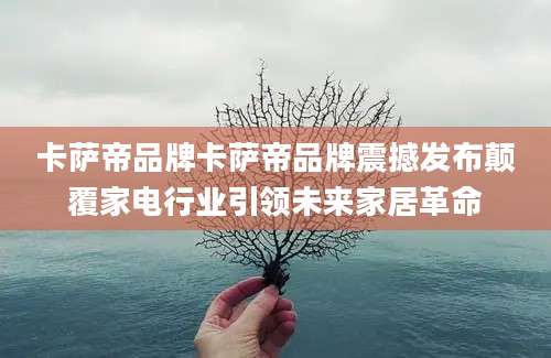 卡萨帝品牌卡萨帝品牌震撼发布颠覆家电行业引领未来家居革命