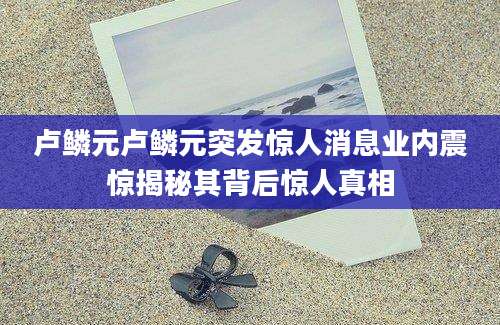 卢鳞元卢鳞元突发惊人消息业内震惊揭秘其背后惊人真相