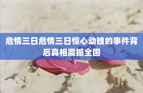 危情三日危情三日惊心动魄的事件背后真相震撼全国