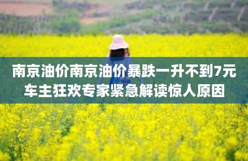 南京油价南京油价暴跌一升不到7元车主狂欢专家紧急解读惊人原因