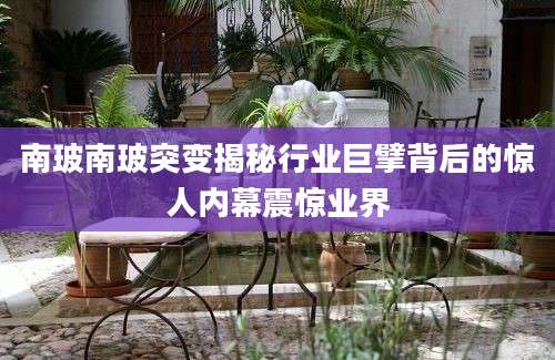 南玻南玻突变揭秘行业巨擘背后的惊人内幕震惊业界