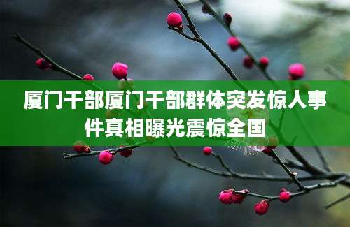厦门干部厦门干部群体突发惊人事件真相曝光震惊全国