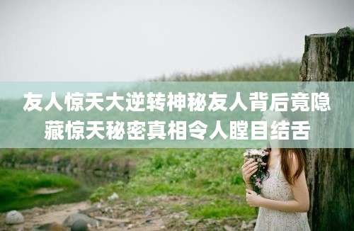 友人惊天大逆转神秘友人背后竟隐藏惊天秘密真相令人瞠目结舌