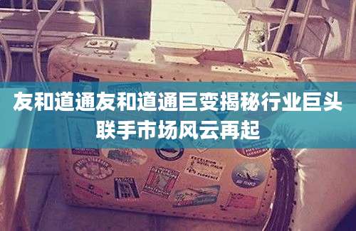 友和道通友和道通巨变揭秘行业巨头联手市场风云再起