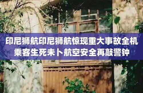 印尼狮航印尼狮航惊现重大事故全机乘客生死未卜航空安全再敲警钟