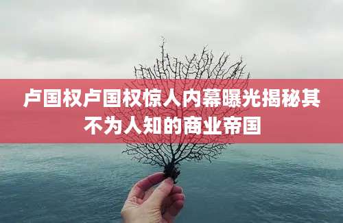 卢国权卢国权惊人内幕曝光揭秘其不为人知的商业帝国