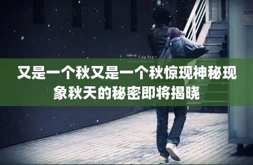 又是一个秋又是一个秋惊现神秘现象秋天的秘密即将揭晓