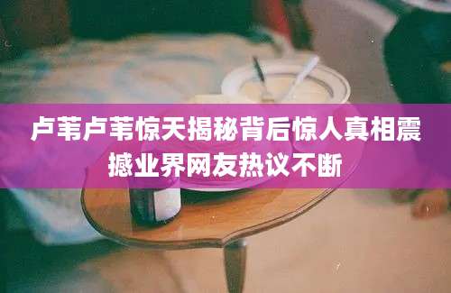 卢苇卢苇惊天揭秘背后惊人真相震撼业界网友热议不断