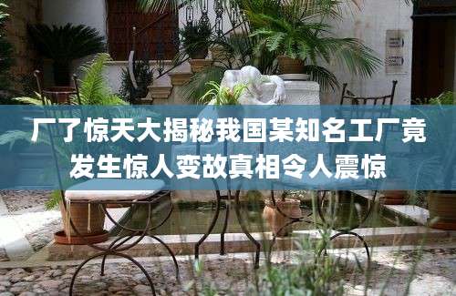 厂了惊天大揭秘我国某知名工厂竟发生惊人变故真相令人震惊