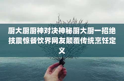 厨大厨厨神对决神秘厨大厨一招绝技震惊餐饮界网友颠覆传统烹饪定义