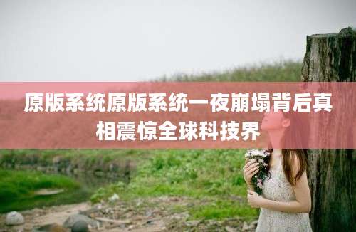 原版系统原版系统一夜崩塌背后真相震惊全球科技界