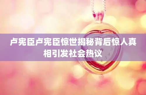 卢宪臣卢宪臣惊世揭秘背后惊人真相引发社会热议