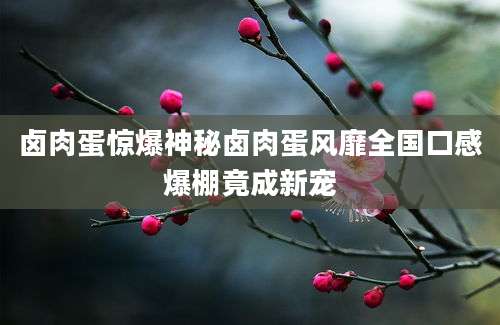 卤肉蛋惊爆神秘卤肉蛋风靡全国口感爆棚竟成新宠