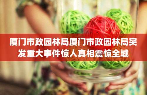 厦门市政园林局厦门市政园林局突发重大事件惊人真相震惊全城
