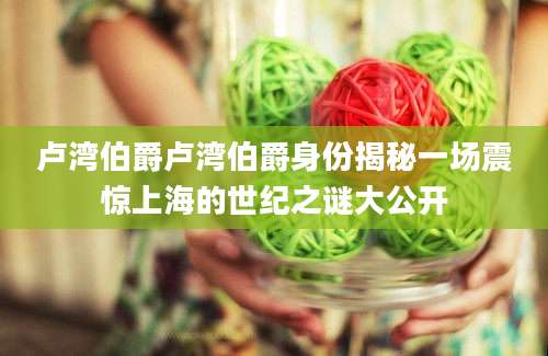 卢湾伯爵卢湾伯爵身份揭秘一场震惊上海的世纪之谜大公开