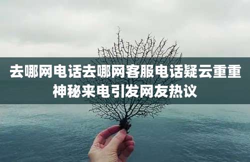 去哪网电话去哪网客服电话疑云重重神秘来电引发网友热议