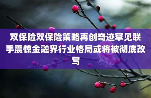 双保险双保险策略再创奇迹罕见联手震惊金融界行业格局或将被彻底改写