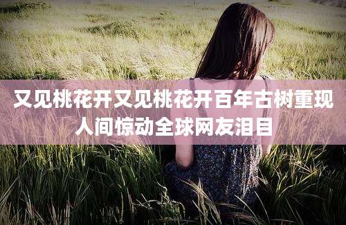 又见桃花开又见桃花开百年古树重现人间惊动全球网友泪目