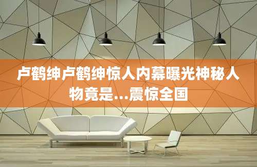 卢鹤绅卢鹤绅惊人内幕曝光神秘人物竟是...震惊全国