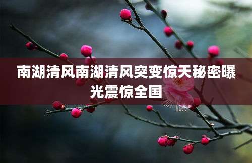 南湖清风南湖清风突变惊天秘密曝光震惊全国