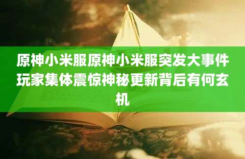 原神小米服原神小米服突发大事件玩家集体震惊神秘更新背后有何玄机