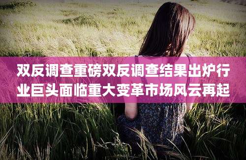双反调查重磅双反调查结果出炉行业巨头面临重大变革市场风云再起