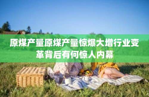 原煤产量原煤产量惊爆大增行业变革背后有何惊人内幕