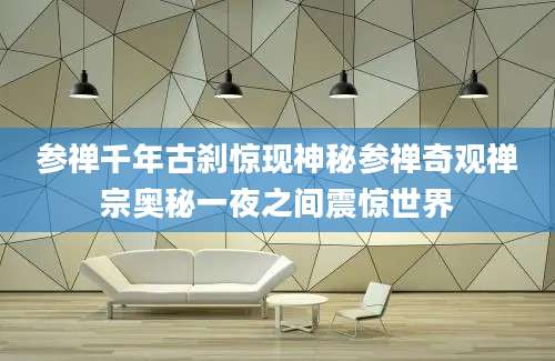 参禅千年古刹惊现神秘参禅奇观禅宗奥秘一夜之间震惊世界