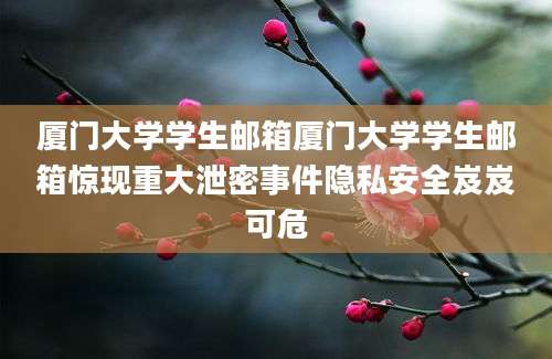 厦门大学学生邮箱厦门大学学生邮箱惊现重大泄密事件隐私安全岌岌可危