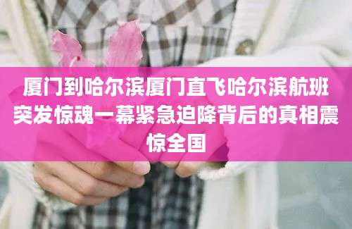 厦门到哈尔滨厦门直飞哈尔滨航班突发惊魂一幕紧急迫降背后的真相震惊全国