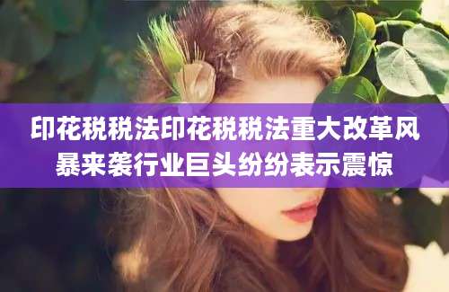 印花税税法印花税税法重大改革风暴来袭行业巨头纷纷表示震惊