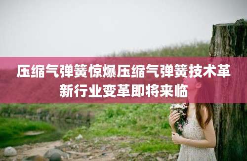 压缩气弹簧惊爆压缩气弹簧技术革新行业变革即将来临