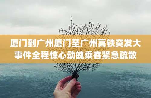 厦门到广州厦门至广州高铁突发大事件全程惊心动魄乘客紧急疏散