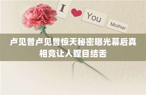 卢见曾卢见曾惊天秘密曝光幕后真相竟让人瞠目结舌