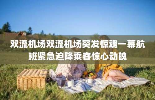 双流机场双流机场突发惊魂一幕航班紧急迫降乘客惊心动魄