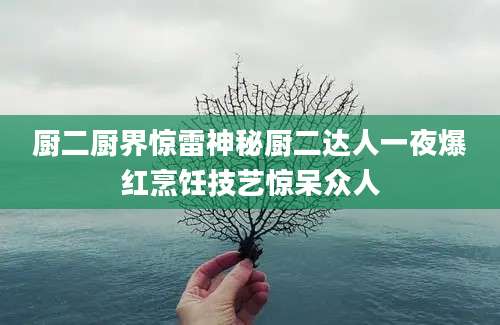 厨二厨界惊雷神秘厨二达人一夜爆红烹饪技艺惊呆众人