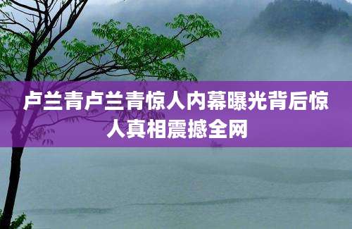 卢兰青卢兰青惊人内幕曝光背后惊人真相震撼全网