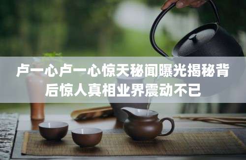 卢一心卢一心惊天秘闻曝光揭秘背后惊人真相业界震动不已