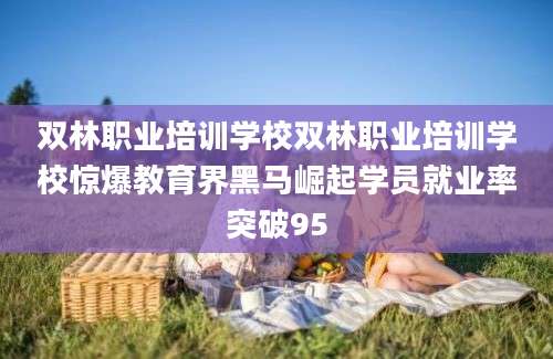双林职业培训学校双林职业培训学校惊爆教育界黑马崛起学员就业率突破95