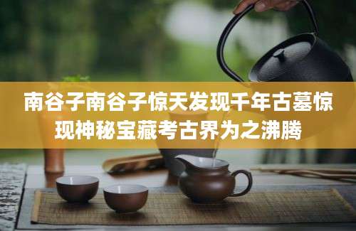 南谷子南谷子惊天发现千年古墓惊现神秘宝藏考古界为之沸腾