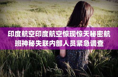 印度航空印度航空惊现惊天秘密航班神秘失联内部人员紧急调查